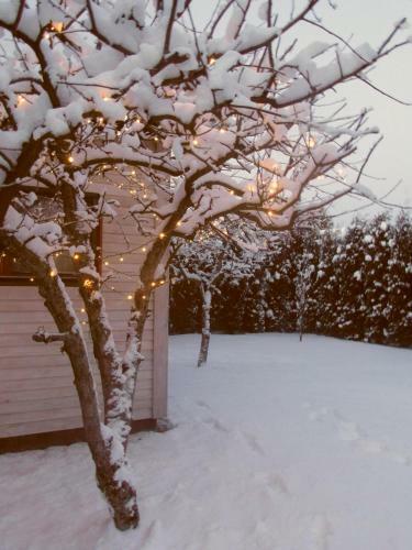 White Cottage