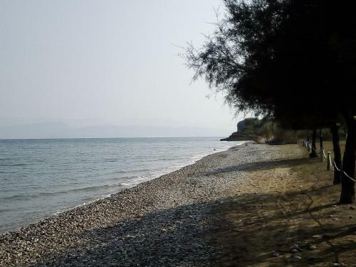 Apartamento S&c Kosmos Beach Resort