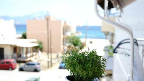 Apartamento Maria-dimis House