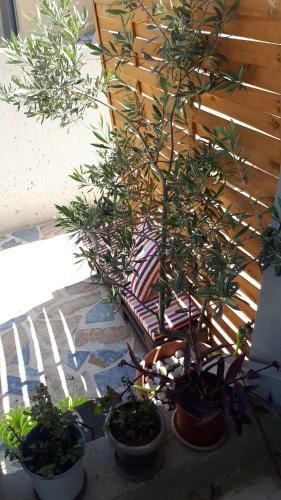 Apartamento Kate-mari House