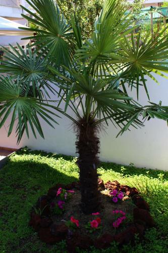 Apartamento Mardin