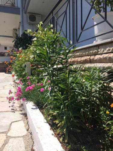 Apartamento Hotel Eleni