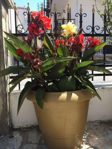 Apartamento Hotel Eleni