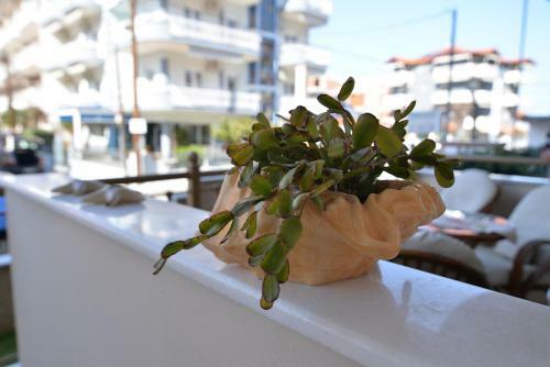Apartamento Vila Elvina