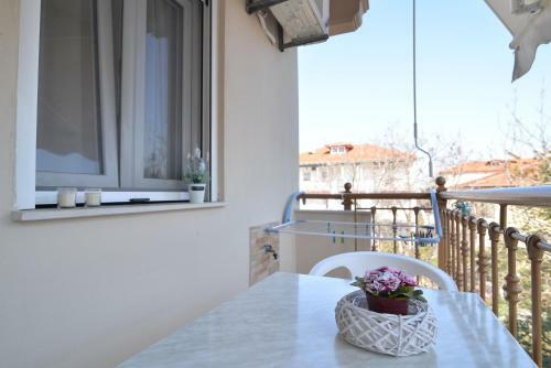 Apartamento Vila Elvina