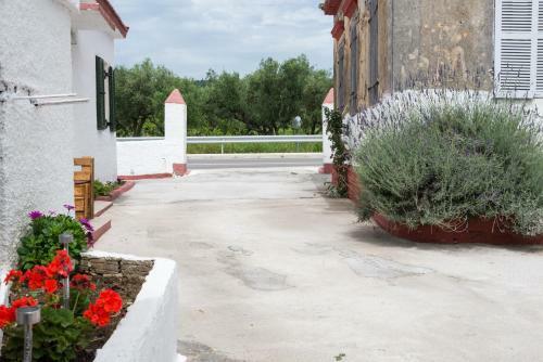 Zisimo's Cottage