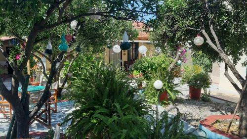 Apartamento Pension Soula