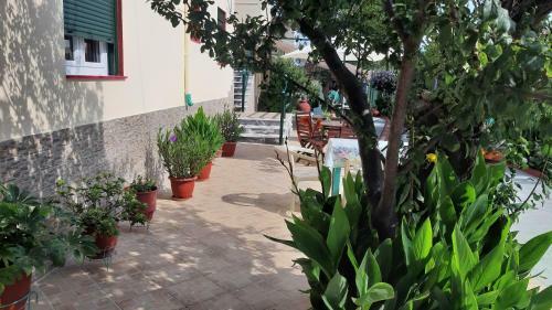 Apartamento Pension Soula