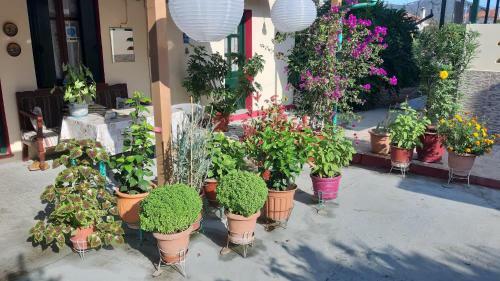 Apartamento Pension Soula