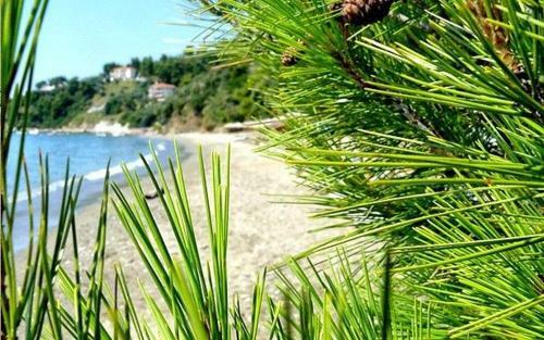 Executive Skiathos Villa Villa Odysseus Sea Views Vassilias