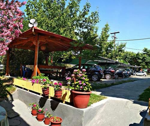 Apartamento Skotina Rooms
