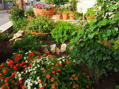 Hostal Hotel Stoupa
