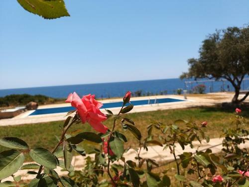 Stoupa Properties