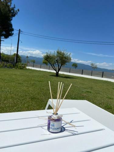 Apartamento Ploumis Seaside Villas