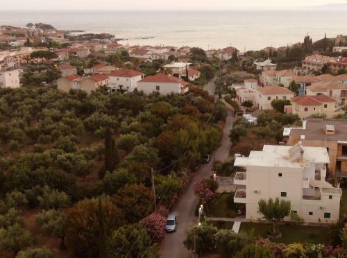 Artemis Apartments