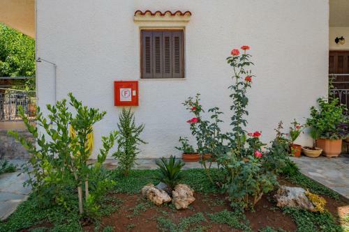 Villa Kosta Hotel & Apartments