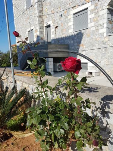 Apartamento Villa Orestis