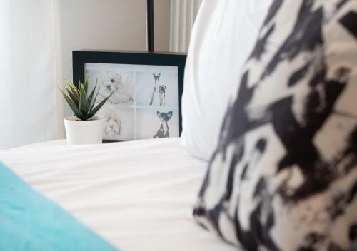 Apartamento Houseloft Bianca District