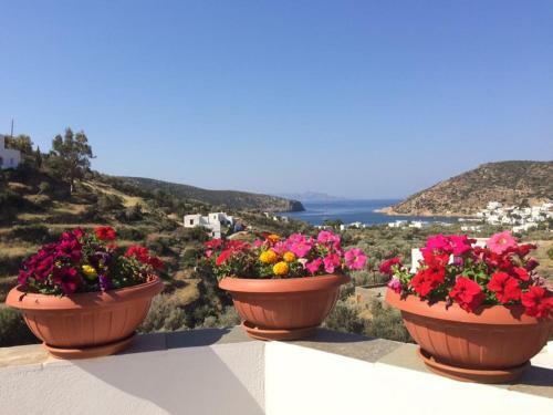 Apartamento Villa Costa Studios