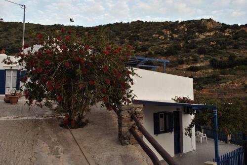 Apartamento Villa Costa Studios