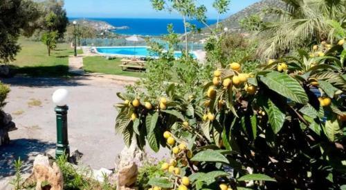 Apartamento Luxurious Villa Kardi A Small Paradise