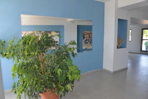 Apartamento Neratza Activities