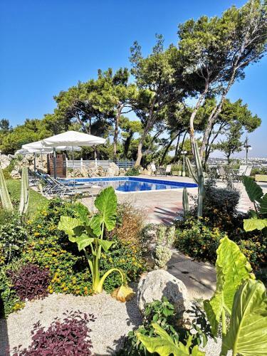 Louis Luxury Villa