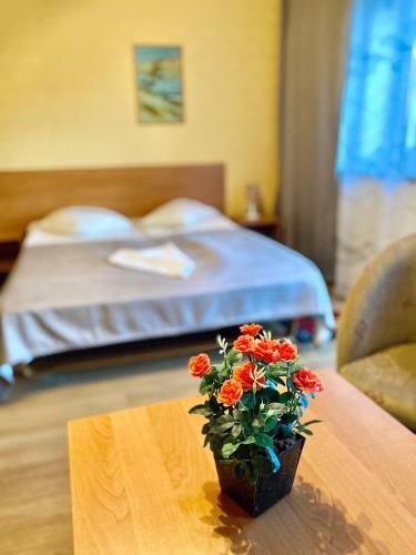 Hostal Akmuo Ant Akmens