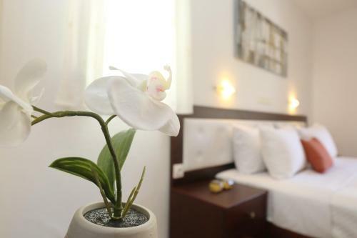 Apartamento Villa Magda Maria