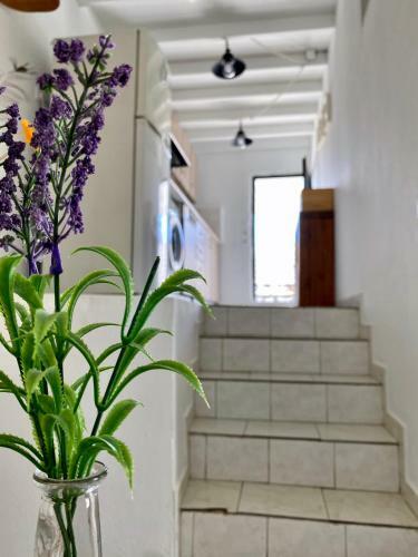 Apartment Helios