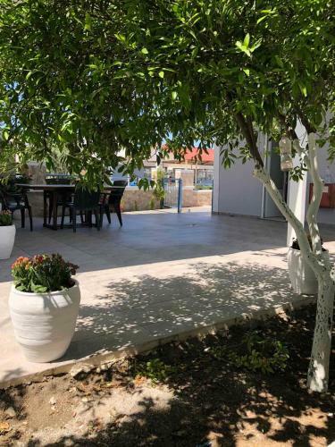 Apartamento Chrysanthi?s