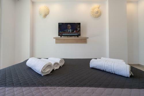 Apartamento Bivalvia Studios