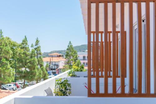 Apartamento Bivalvia Studios