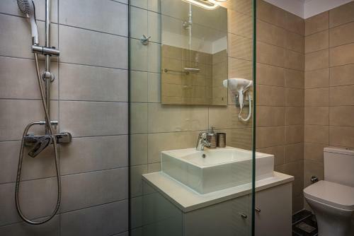 Apartamento Metsovo Big Apts