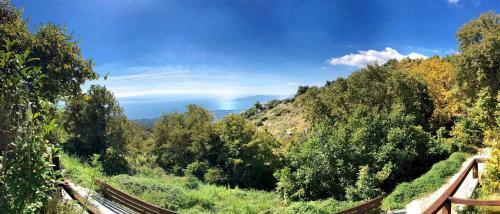 Great Pelion Villa Villa Dioni 2 Bedrooms Aghios Georgios
