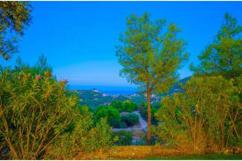 Villa Keri Homes