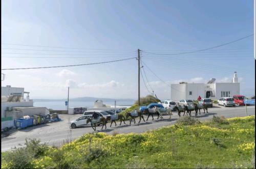 Apartamento Firostefani Suites