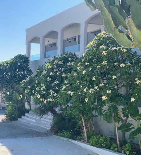 Apartamento Pals Studios Pefkos