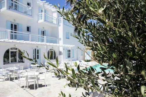 The Mykonist Anamar Blu Hotel Ornos