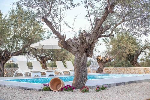 Kalathos Dream Villas