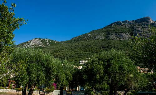 Corfu Villa Beach Front Barbati