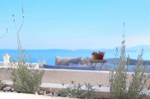 Barbati Villa Sleeps 8 Pool Air Con Wifi