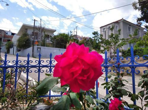 Apartamento Evgenia Rooms