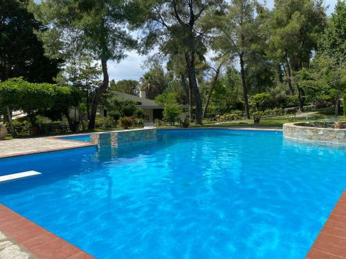 Peekaboo Shared Pool Villa