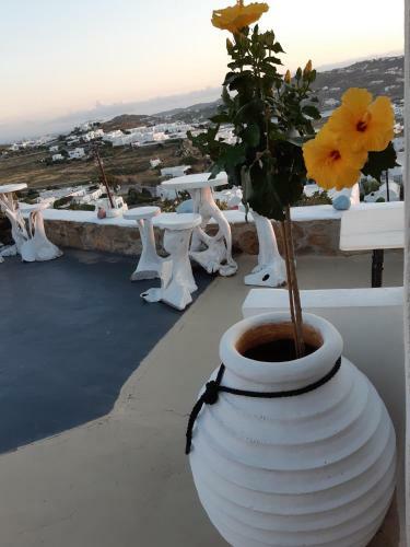 Hostal Vougli View