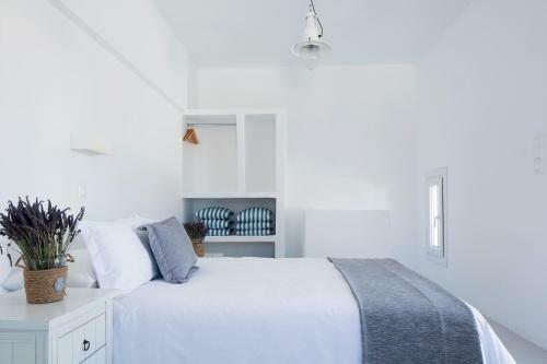 Hotel Villa Thea Collection