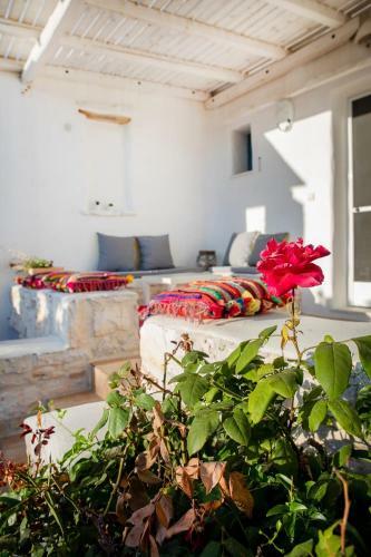 Liber Villas Paros