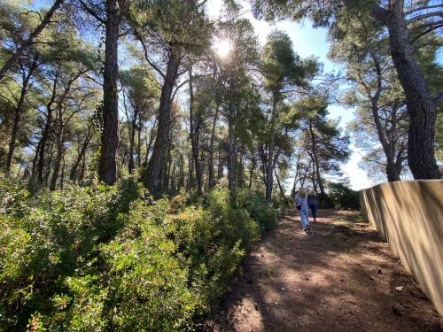 Villa Dreaming Trees Maisonette