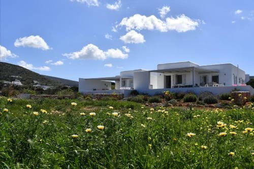 Agia Irene Villa - Katoikia Andreas