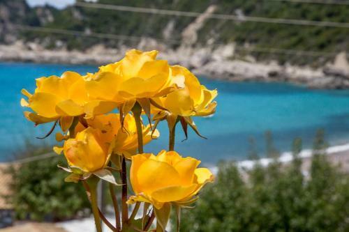 Kandria Golf & Beach Villa